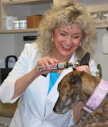 animal hospital at terravita